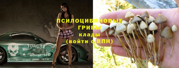 твердый Бронницы